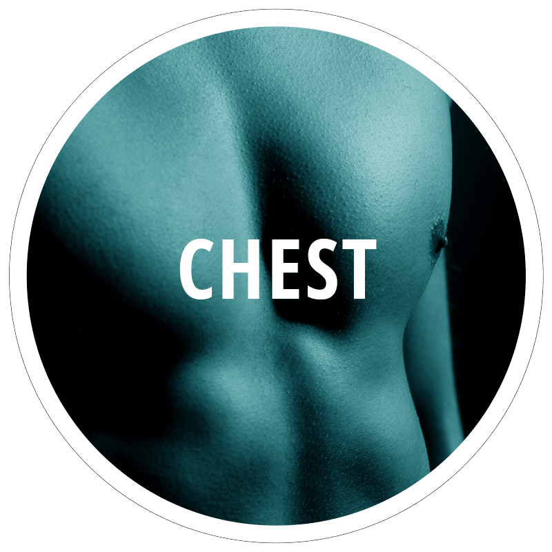 Chest